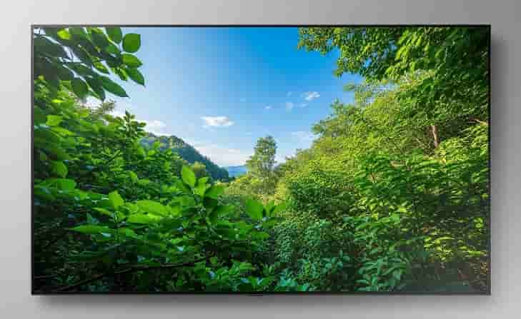 Bemutatkozott a Micro RGB TV